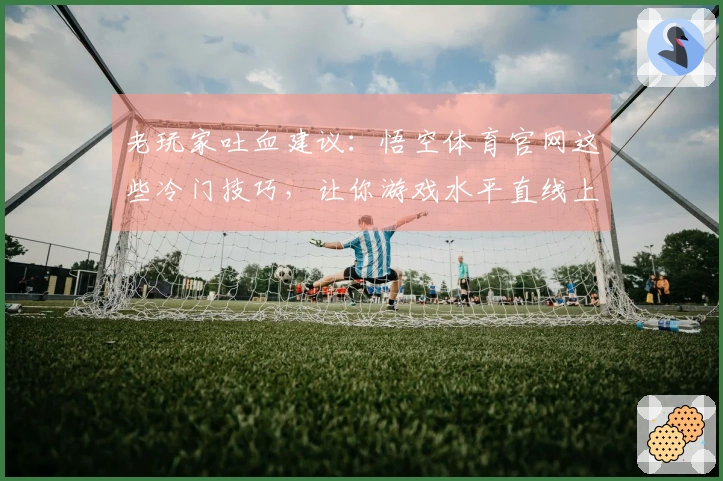 老玩家吐血建议：悟空体育官网这些冷门技巧，让你游戏水平直线上升