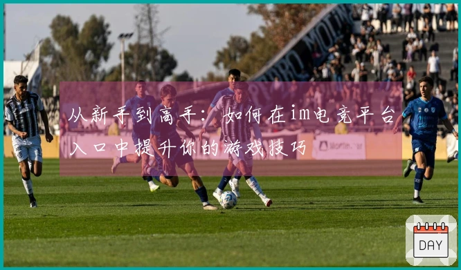 从新手到高手：如何在im电竞平台入口中提升你的游戏技巧