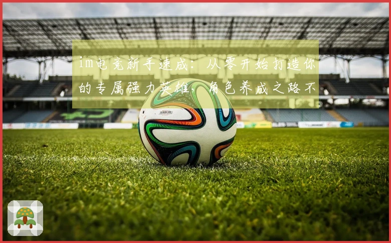 im电竞新手速成：从零开始打造你的专属强力英雄，角色养成之路不再迷茫