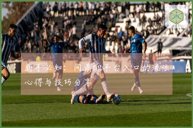 新手必知：问鼎pg平台入口的玩法心得与技巧分享