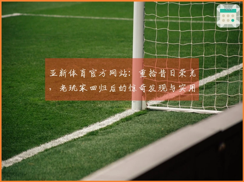 亚新体育官方网站：重拾昔日荣光，老玩家回归后的惊奇发现与实用技巧分享
